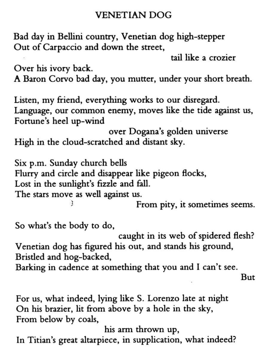 Venetian Dog | Charles Wright