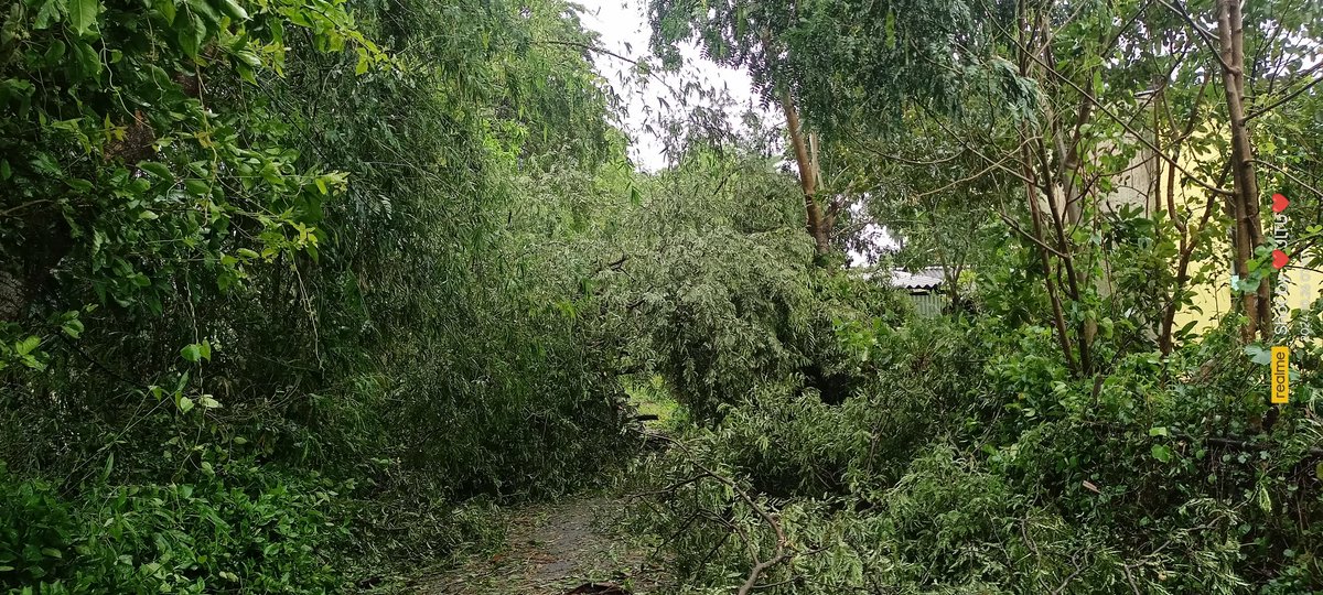 Satyabrata Barik Jitu 🇮🇳 tweet media