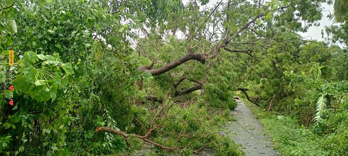 Satyabrata Barik Jitu 🇮🇳 tweet media