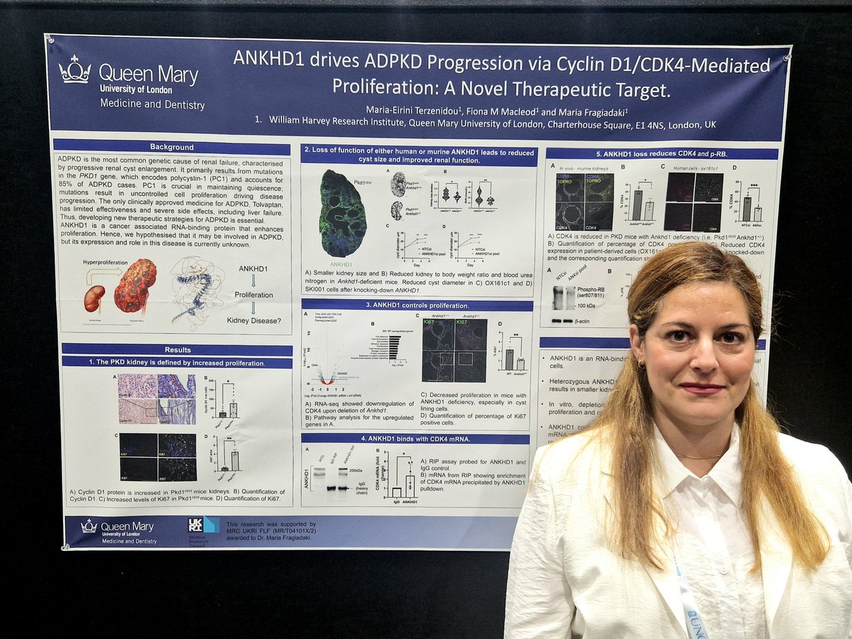 Maria-Eirini Terzenidou tweet media