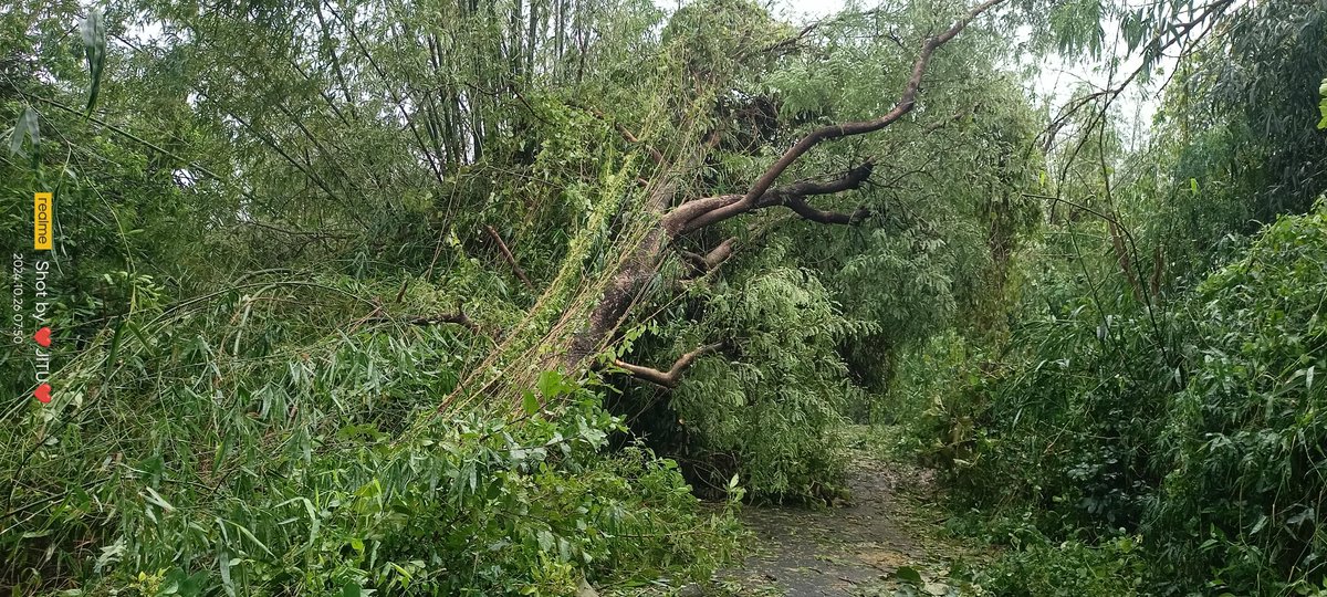 Satyabrata Barik Jitu 🇮🇳 tweet media