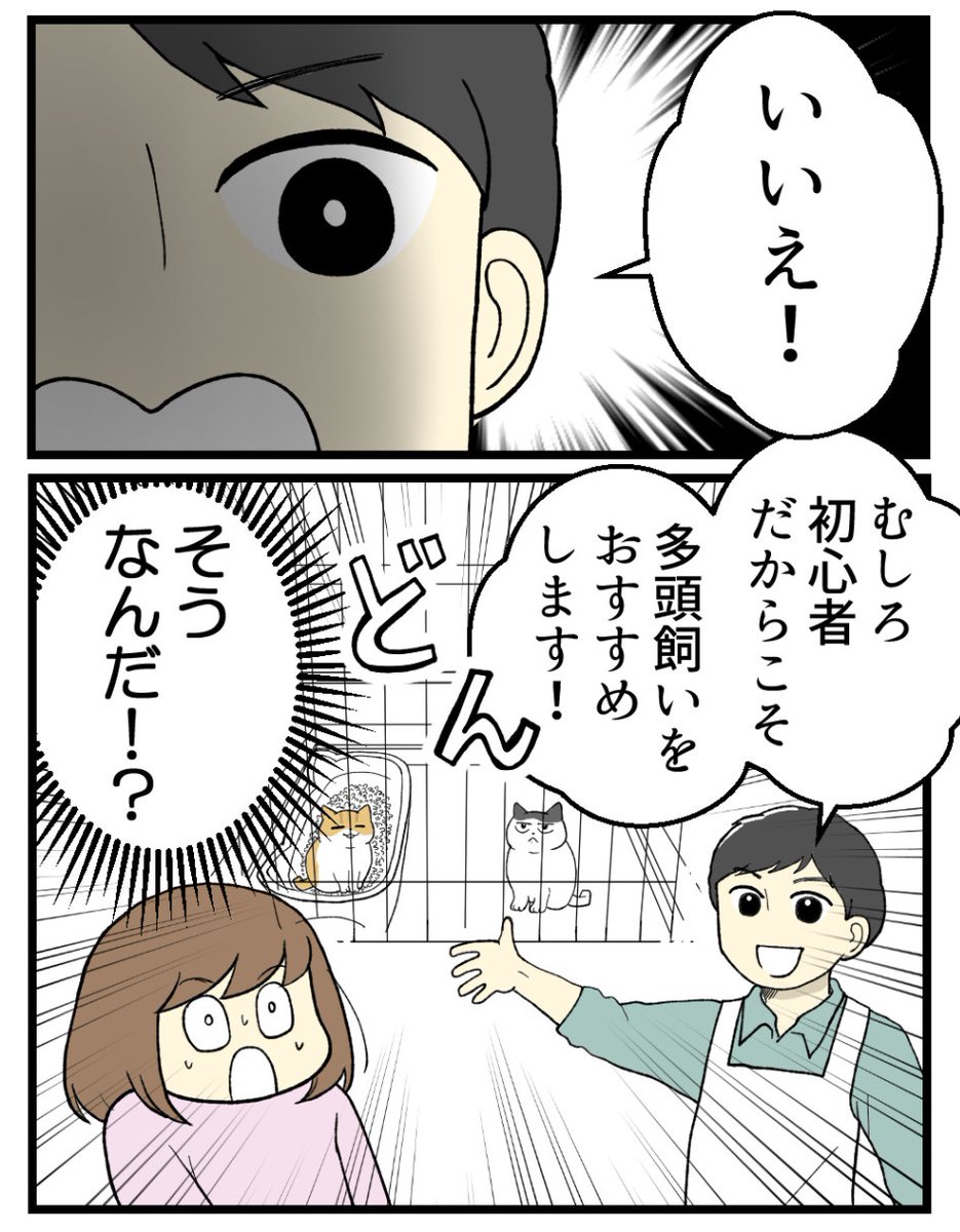 猫飼い初心者に多頭飼いをおすすめする理由(0/5) 

#漫画が読めるハッシュタグ 