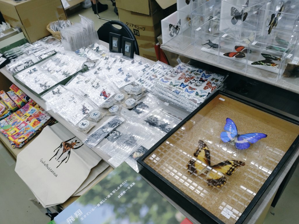 çžåå± âœ (@aiharaya) on Twitter photo ã¢ããªãšãããªã¹ãã <a href="/Atelier_cypris/">ã¢ããªãšãããªã¹-Atelier cypris-</a> ã®ããŒã¹ã§ãæäŒãããŠãŸãðŠ
#ãããã«ã2024 ã¢ããªãšãããªã¹ãã <a href="/Atelier_cypris/">ã¢ããªãšãããªã¹-Atelier cypris-</a> ã®ããŒã¹ã§ãæäŒãããŠãŸãðŠ
#ãããã«ã2024