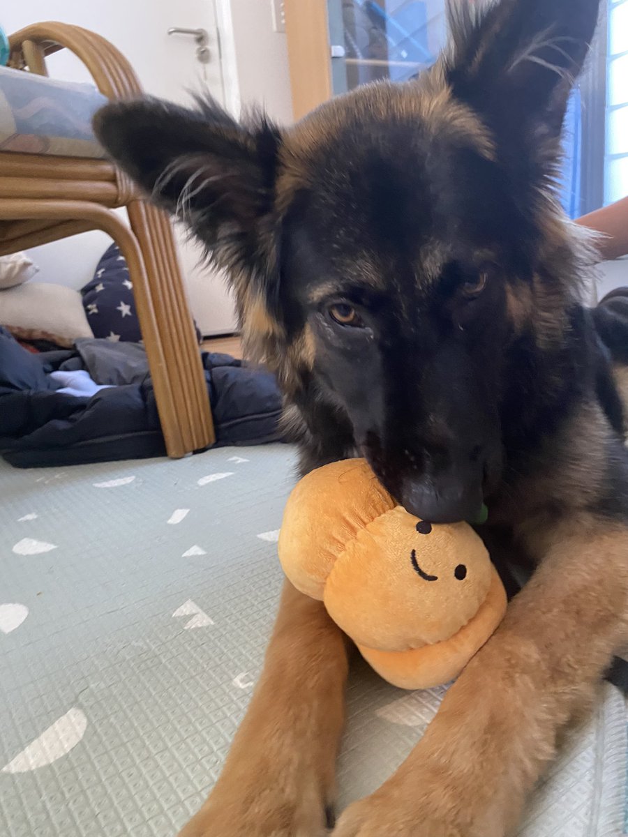 👾James (Game Dev) Anderson👾 tweet media