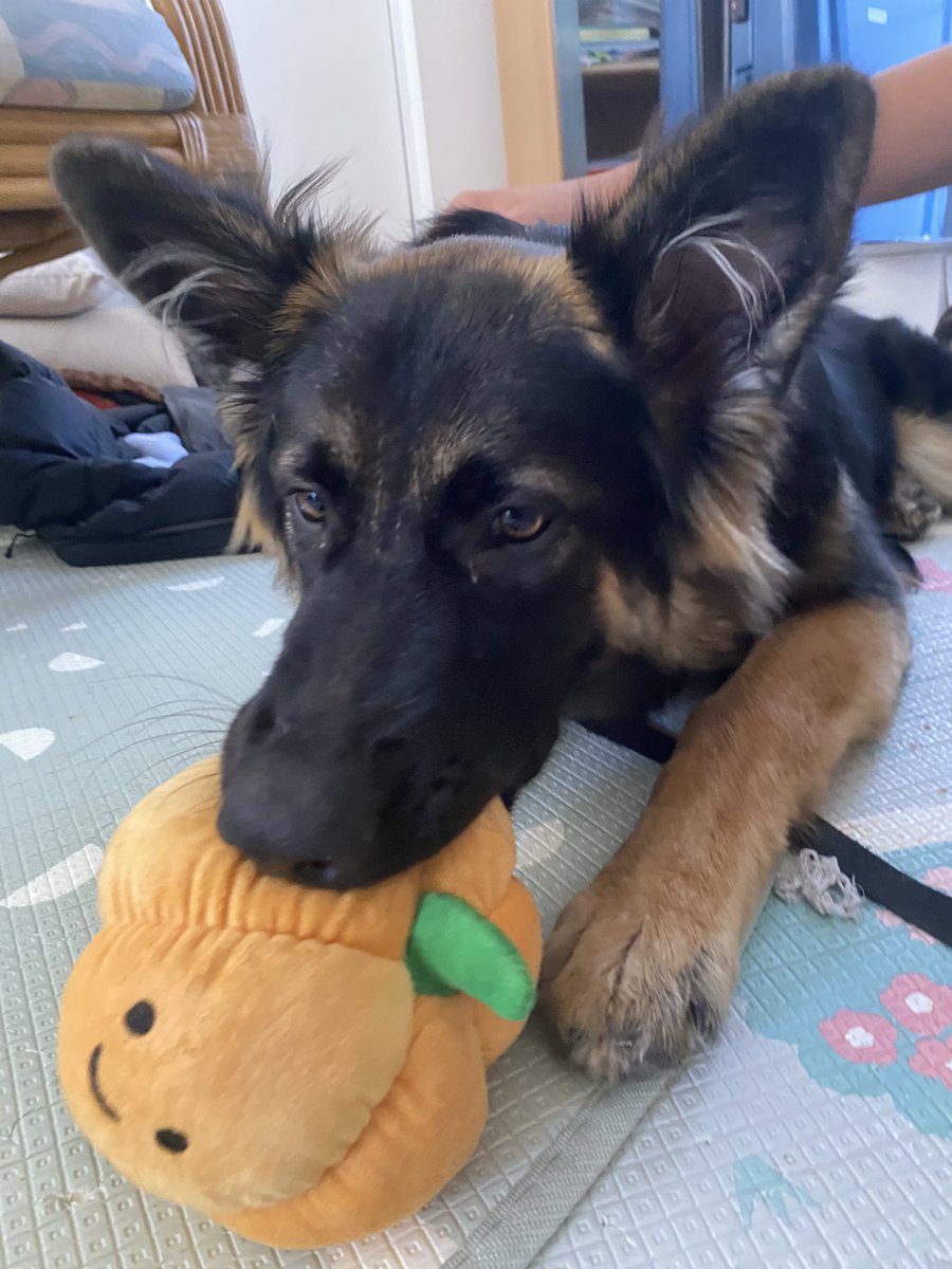 👾James (Game Dev) Anderson👾 tweet media