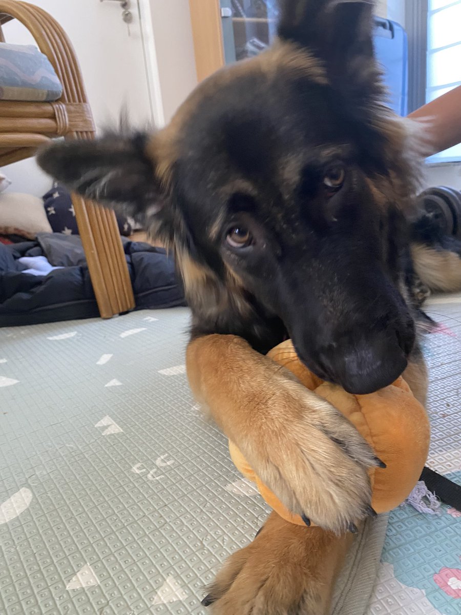 👾James (Game Dev) Anderson👾 tweet media