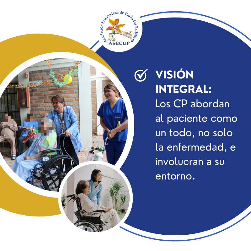 asecup's tweet photo. ✅Los CP no se limitan al cuerpo, también intervienen en la esfera emocional, social, espiritual. Eso marca la diferencia con respecto a las otras especialidades médicas, por su enfoque integral de tratamiento a enfermedades complejas. @sepp_ecu @oncologiaec @SECIPichincha https://t.co/KJY9oiD2AU