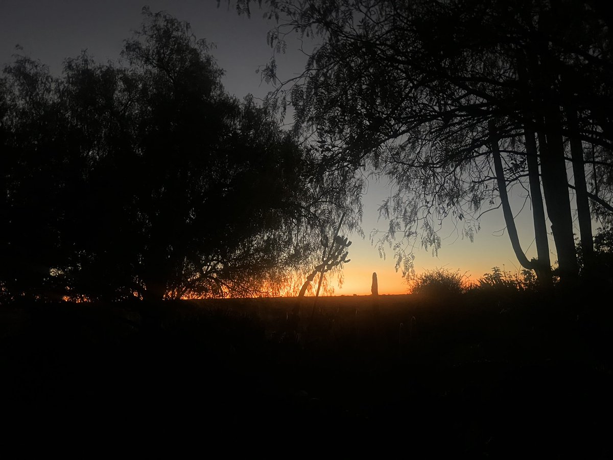 Surethaplaas's tweet image. Goeiemôre 
Daar werk ons weer bees! 
Heerlike oggend👏🏻💞🤩#photoaday #love #geelkoppan #BeGood #lovelife #plaas -#boer #noordkaap