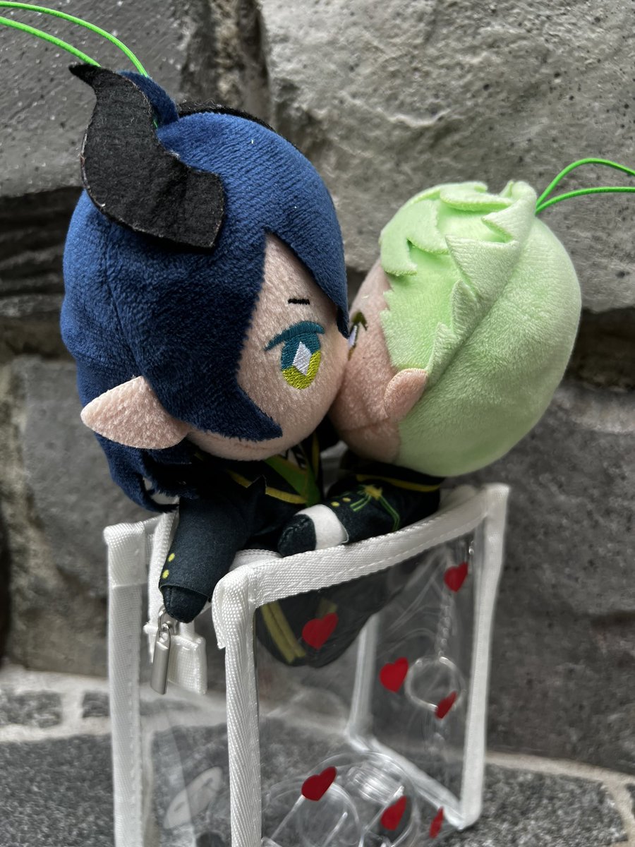 ali0x0chika's tweet photo. ともだちのぬいの黒子してる間、ふたりいちゃらぶしていた https://t.co/0CDnVjTnSF