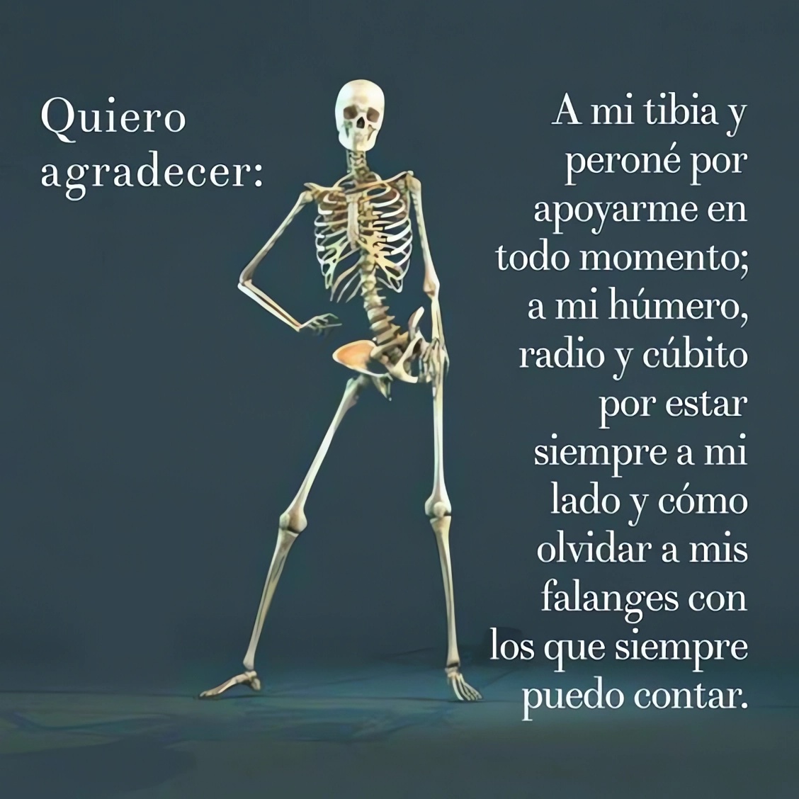 Comunidad Biológica (@bio_comunidad) on Twitter photo 