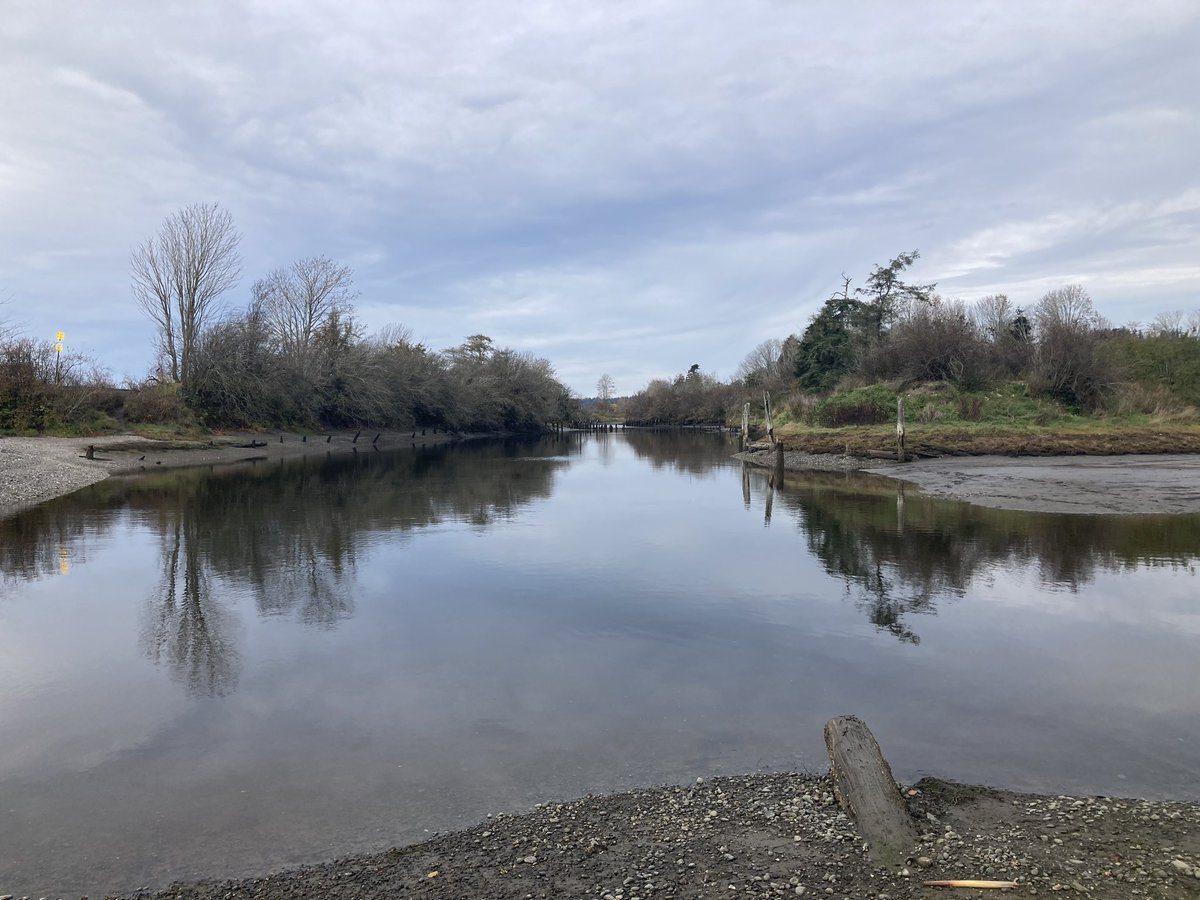Felt very honoured today to have the privilege of visiting  Semiahmoo First Nation land and learning from one of their community members. Spent the morning learning and unlearning❤️