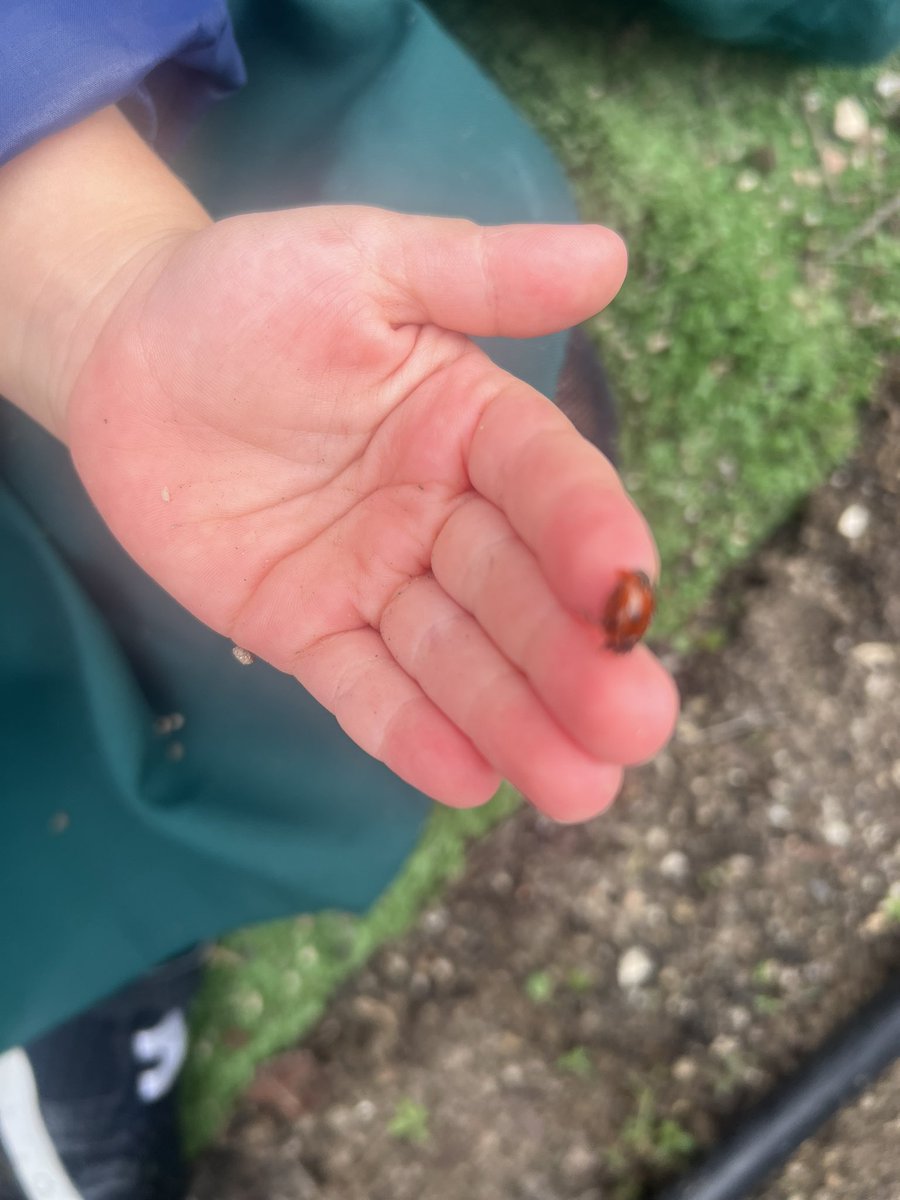 Profe Olga tweet media