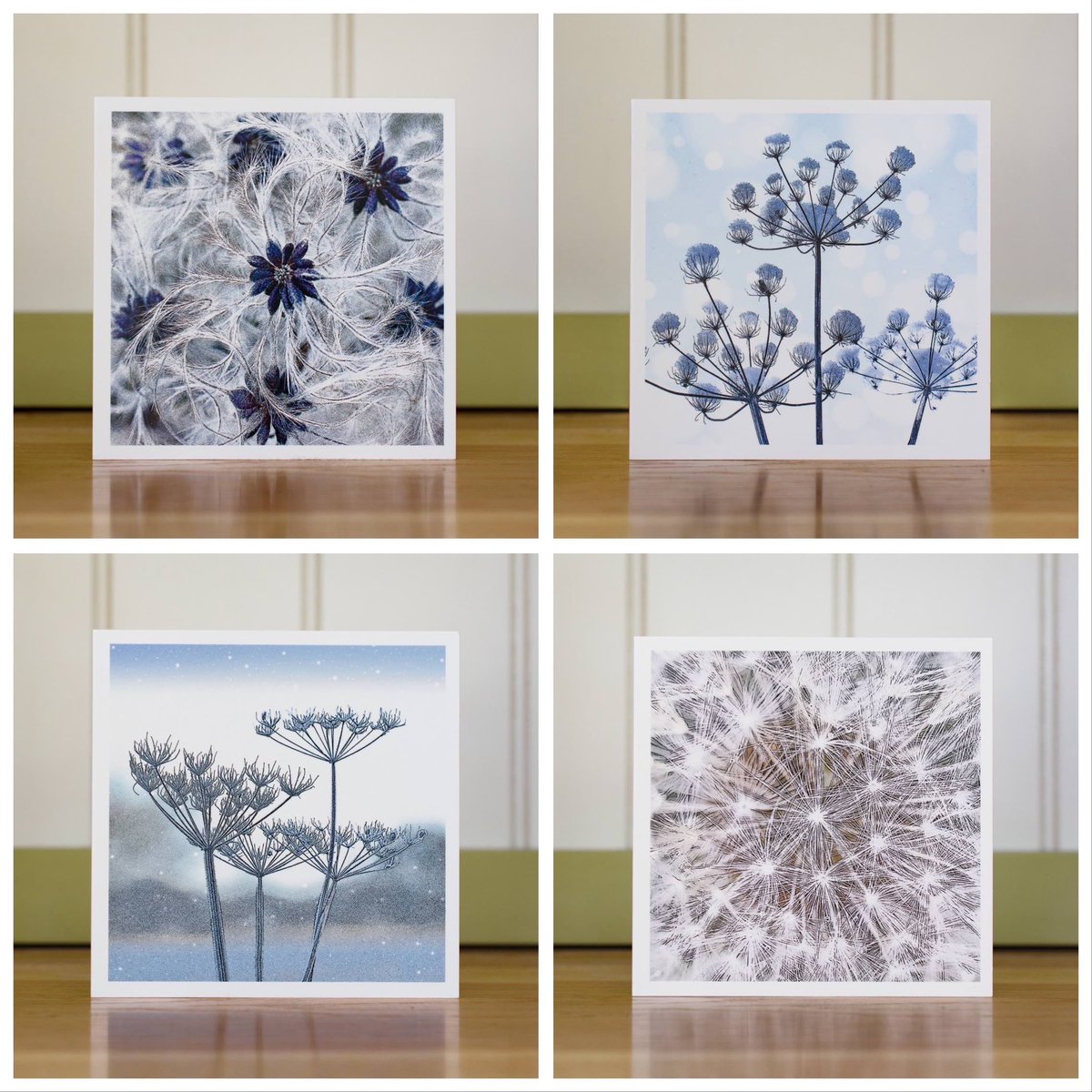 VenetiaJane's Garden tweet media