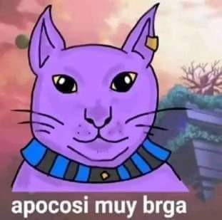 <a href="/nikoandkotatoro/">ニコちゃんとこたろう先生とトロとわさび姐さん</a>