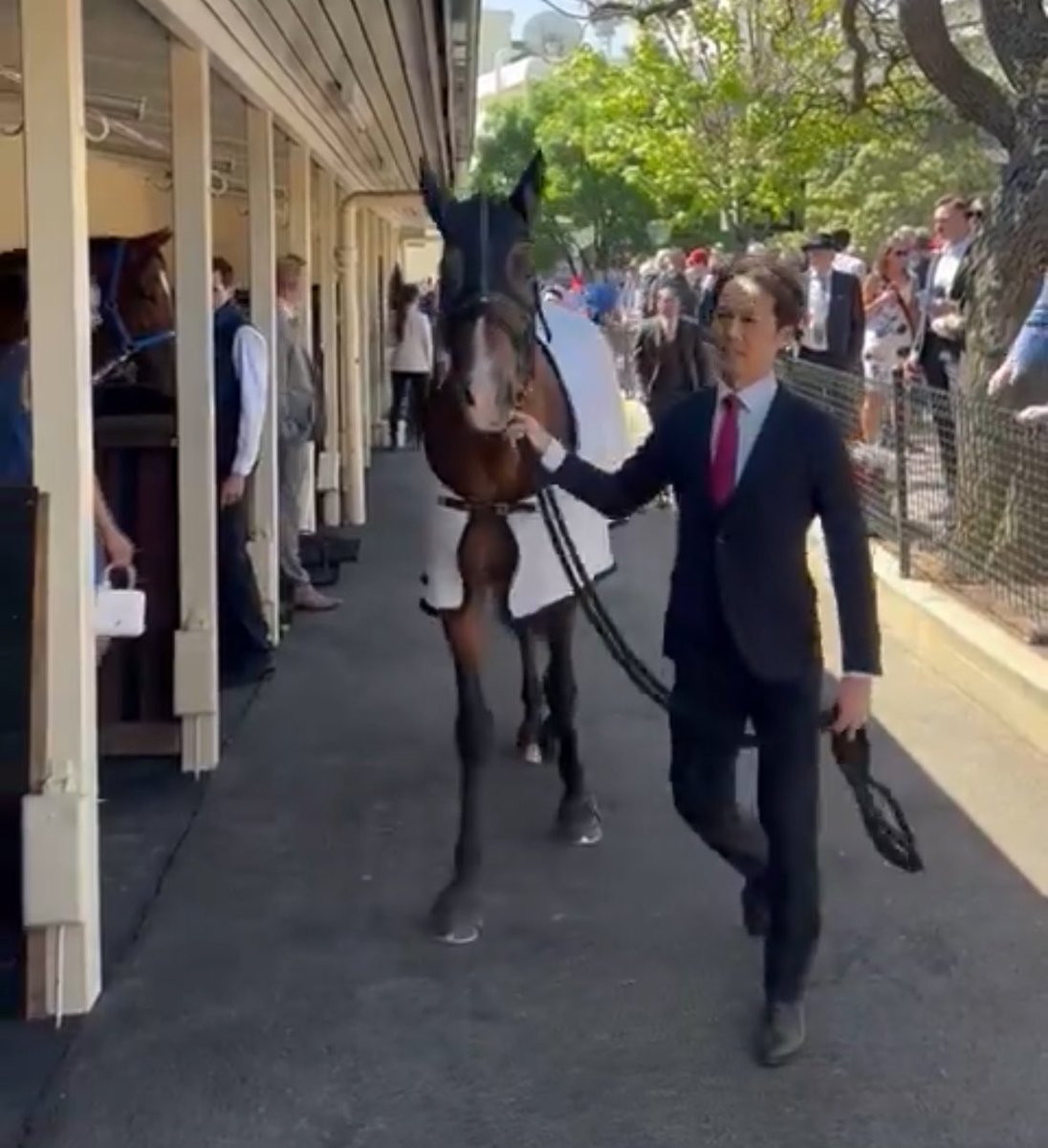 Sarah Perry tweet media