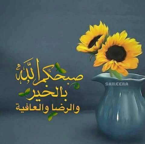 ppqq087111's tweet photo. @dar445566 https://t.co/Hu6F7OJkoU
