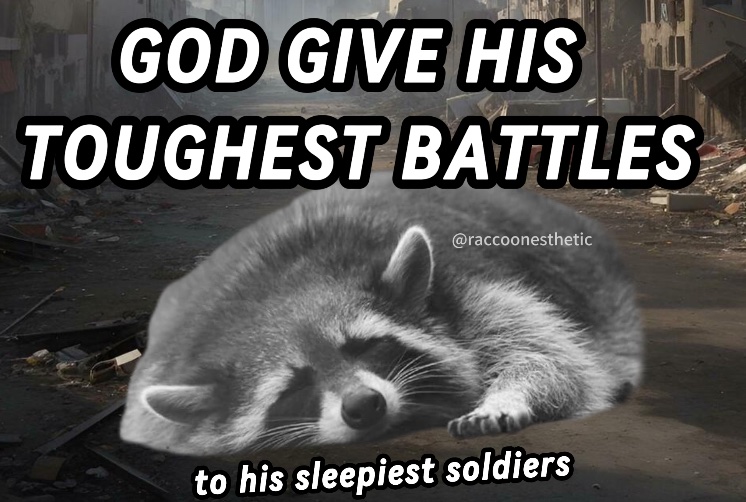 raccoonesthetic's tweet image. 