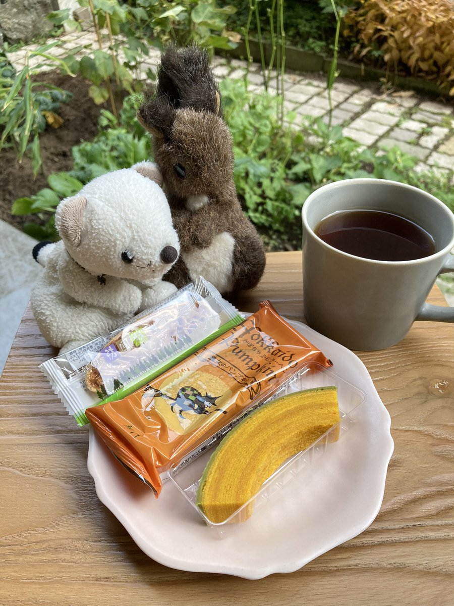 今日もお庭ティータイムに付き合うリス。

ゲストはおこじょ。
真っ白の冬毛に、しっぽの先のちょっとだけ黒いとこがかわいいおともだちです。

本日のメニューは、柳月の防風林(もなかのフロランタン)と魔女のパンプキン(かぼちゃのバウムクーヘン)、アツアツの紅茶です。