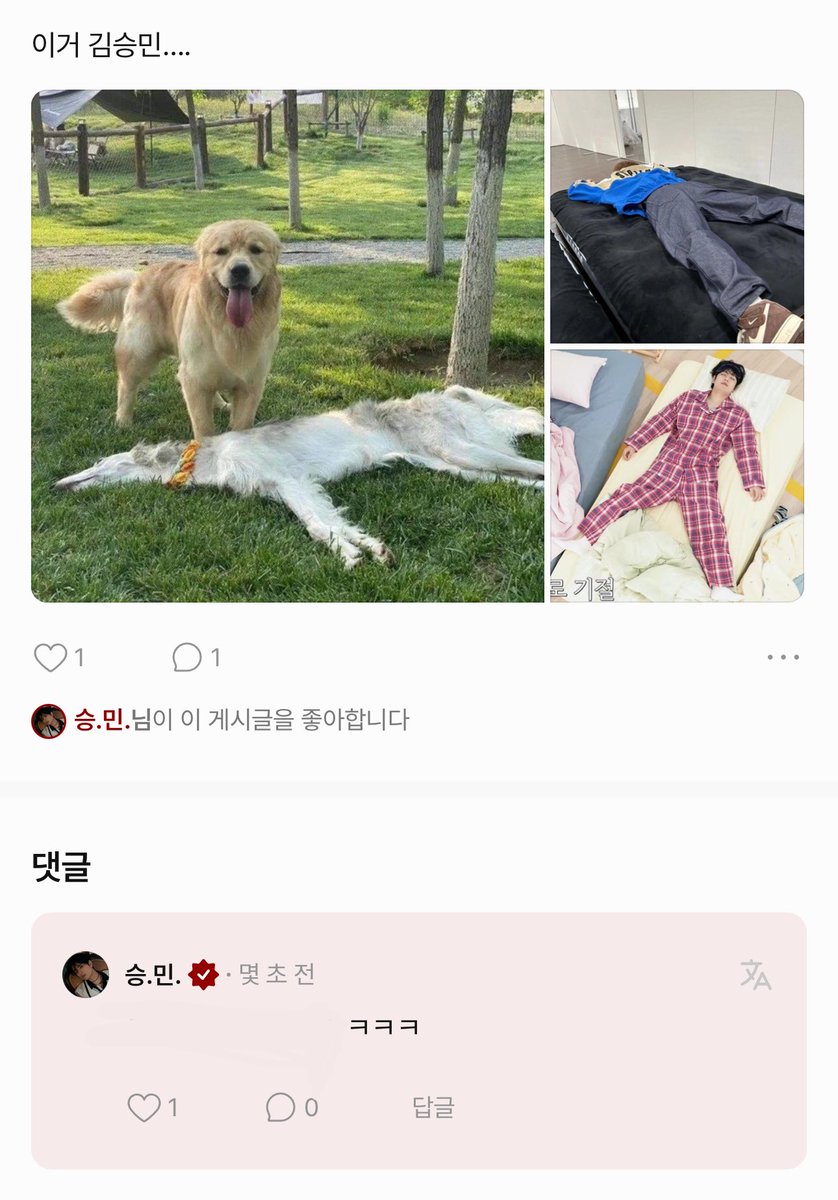 아씨 김승민 납작개 사진 보게 된 거 왜케 웃기냐