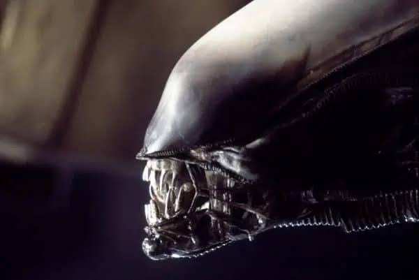zenhamdu's tweet image. #31DayHorrorChallenge #SpookyNights #31DaysOfHalloween #31DaysOfHorror 
#Alien 

“In Space No One can hear you scream” 
Day 25 
Alíen 👩🏻‍🚀🛸🌌