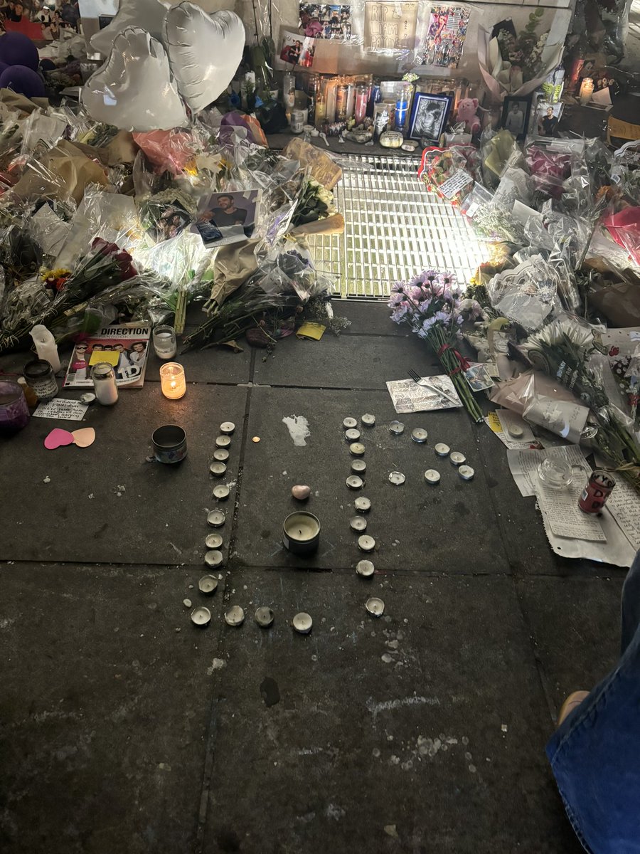 adoringlilo's tweet photo. goodbye, liam 🕊️ https://t.co/xl9ZdWER39