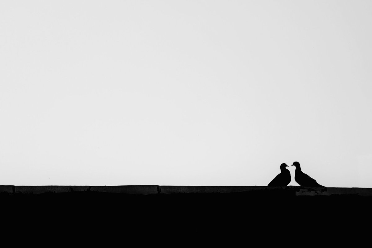 Gm!

"Romances"
8/11 editions  7 #tezos

#photography
Link:
objkt.com/tokens/hicetnu…