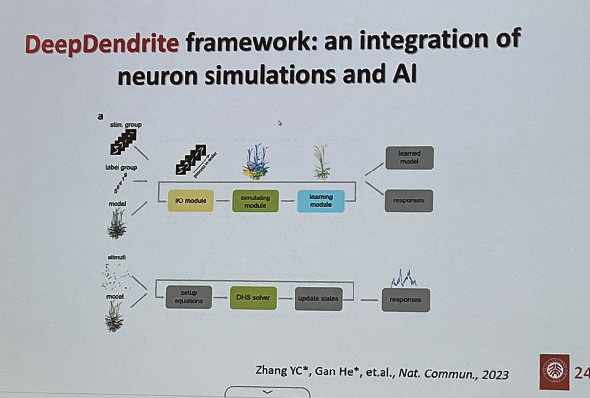 hiallen72's tweet image. Fulfilling day meeting & panel discuss. in Neuronal Computation for Biological & Artificial Intelligence in Taipei. Kudos to 5 oversea speakers & 80 attendees!
Had a strong sense we all now talk biology in light of computations. From Panelist - is there a Neuro-AI community yet?