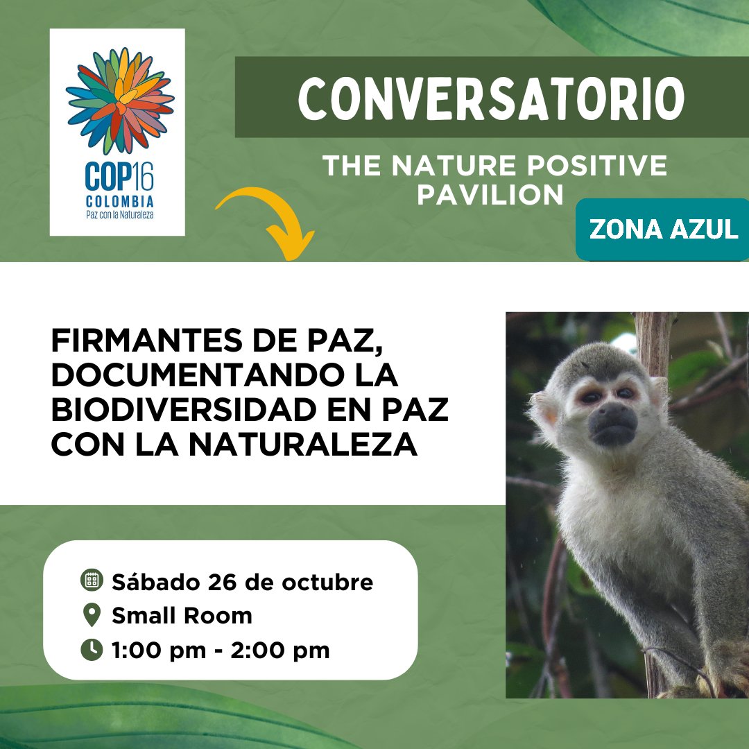 PeaceWNature's tweet photo. We'll be talking about the empowerment of #excombatants to document @ &amp; protect #biodiversity @ #COP16Colombia 
#NaturePositive PAVILION-PLAZA 2.
26 Oct, 1pm.

@susanamuhamad
@UNBiodiversity 
@MinAmbienteCo
@ukincolombia 
@HodgsonGeorge
@ARNColombia
@COP16Colombia https://t.co/wbc7aAHGxJ