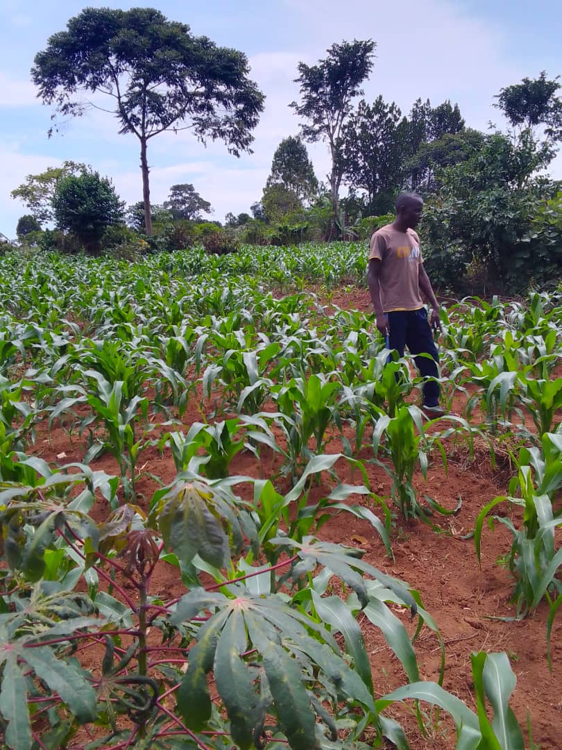shukranproperty's tweet photo. LAND FOR SALE IN ENTEBBE BUWAYA, ZIBA VILLAGE
FULL ACRE( #100DECIMALS)
SELLING PRICE #80M_UGX
CALL 0706592177
#NUPYouthConvention2024
Anita Among Kabaka Baganda
UCDA https://t.co/u8ZR960P7L