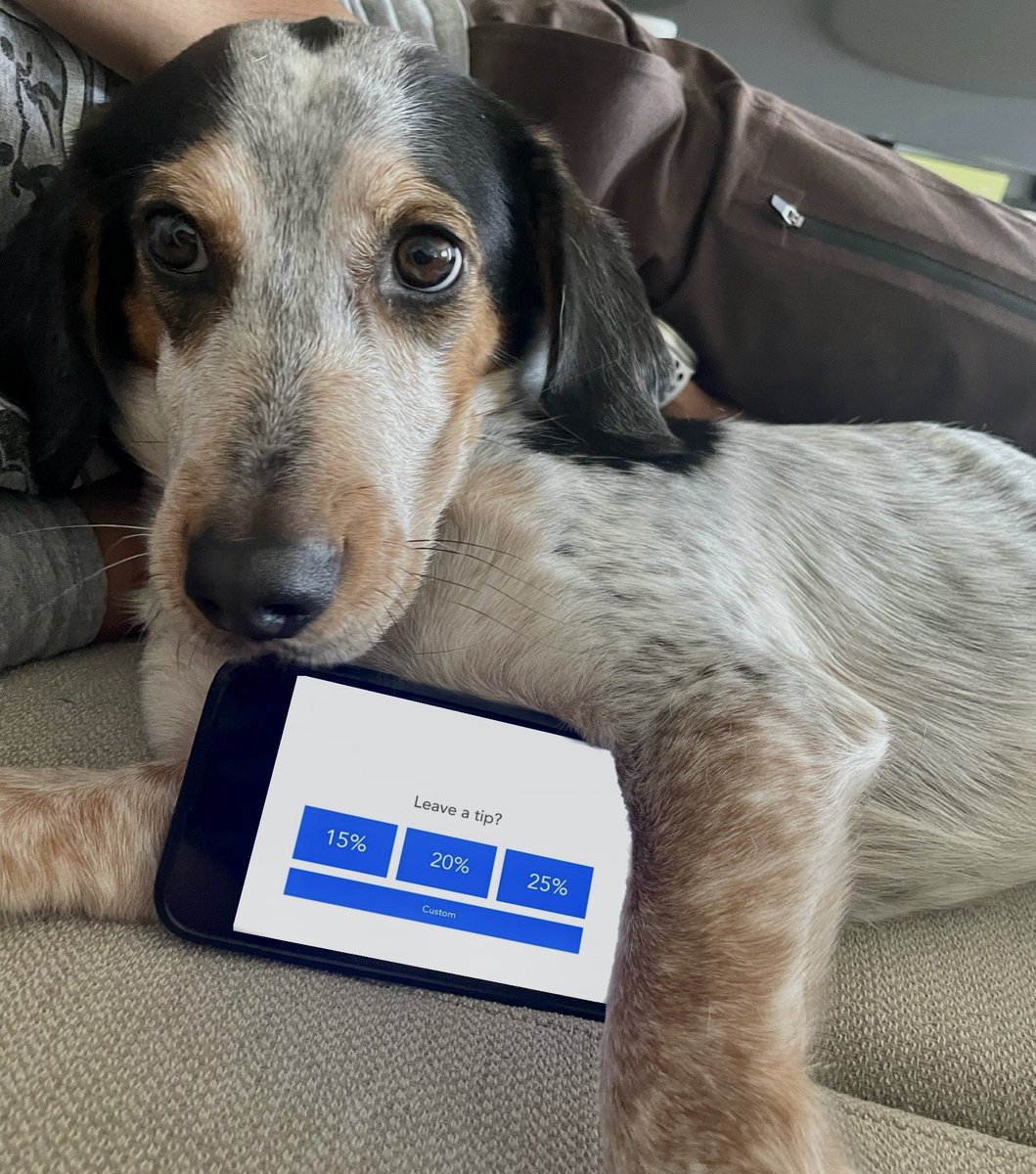 ashxtru's tweet image. tipping culture is insane nowadays..