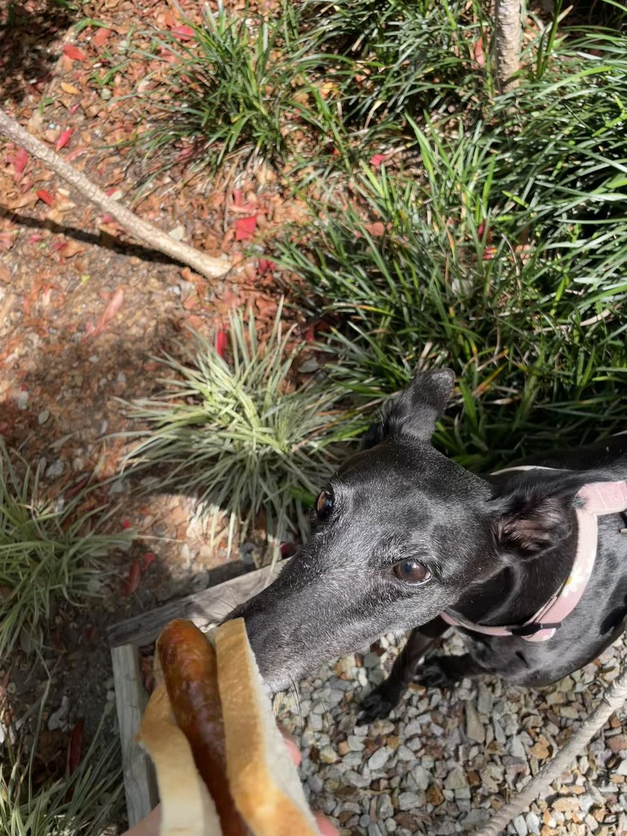 Laura Daly tweet media