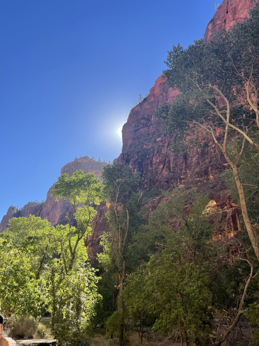 Nevada State High School tweet media