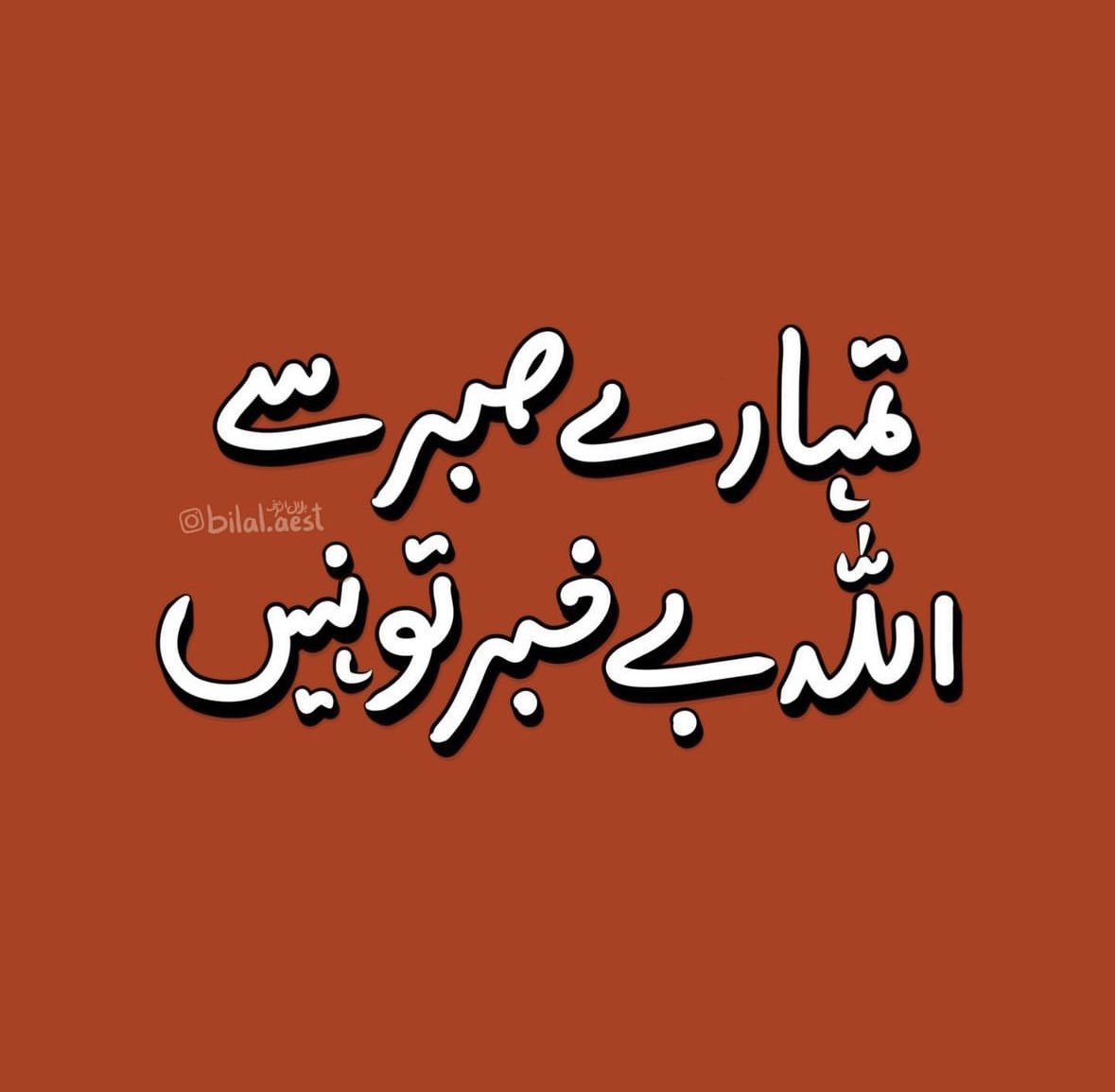 Shiffa Z. Yousafzai (@shiffa_zy) on Twitter photo 