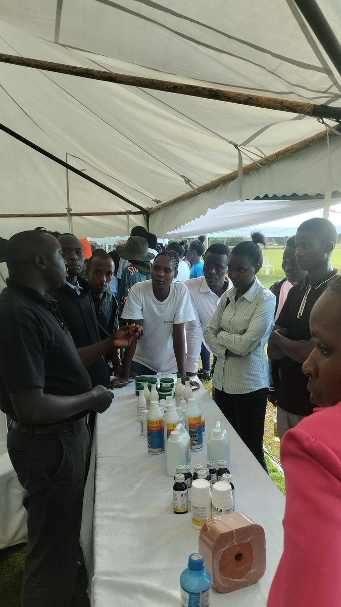 Today marks the last day of Mkulima Expo. All are welcomed to Ndura Sports Complex Kitale.
Usikose kufika mapema.
#MkulimaExpo2024