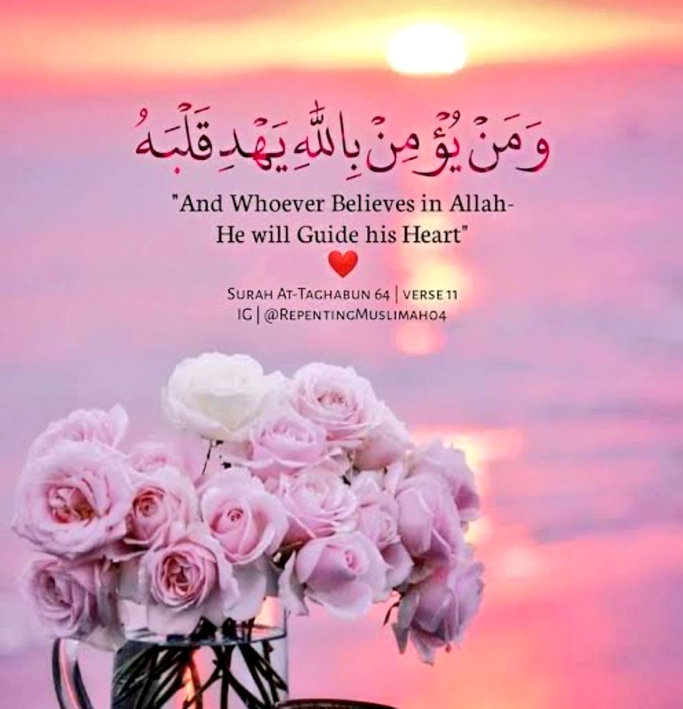 Muhammadali tweet media