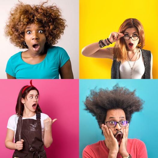 Médiathèque Canopée tweet media