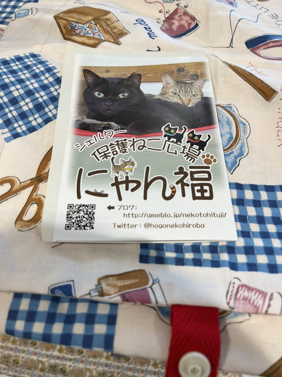 紫苑@オカメインコ迷子 tweet media