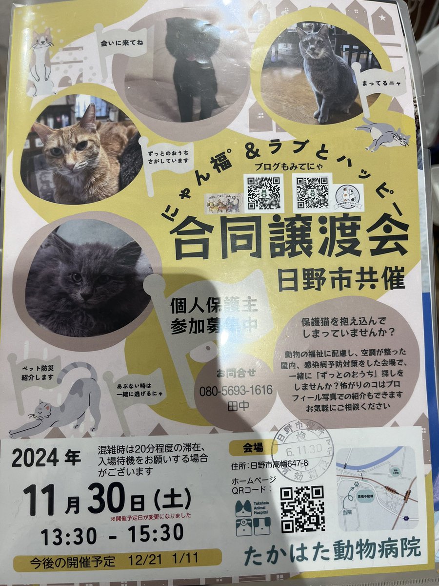 紫苑@オカメインコ迷子 tweet media