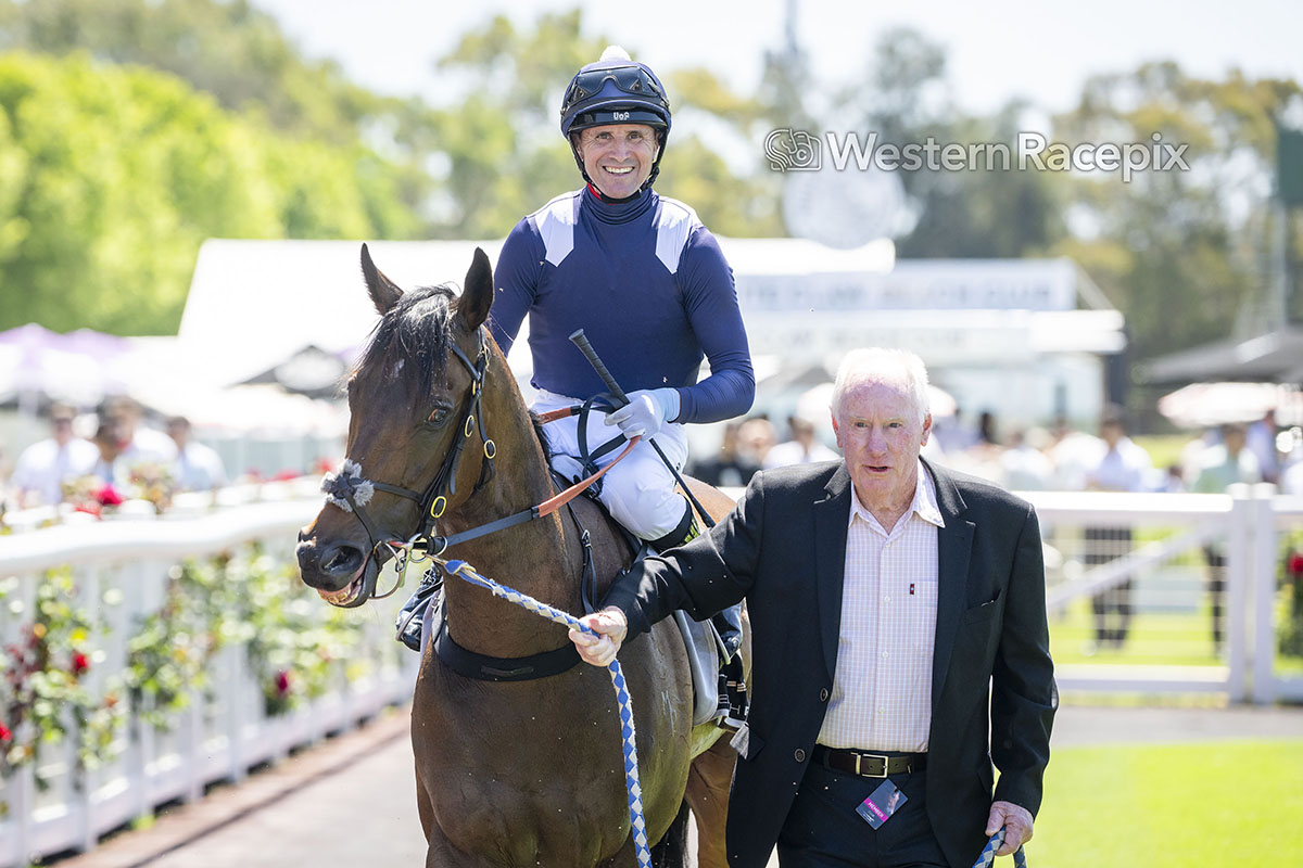 WesternRacepix's tweet photo. ALL PLAY - Ascot Sat 26th October @PerthRacing #WesternRacepix #IrishDay

 More 📸 https://t.co/XhRFkk00xX https://t.co/aZO4ExiCI1