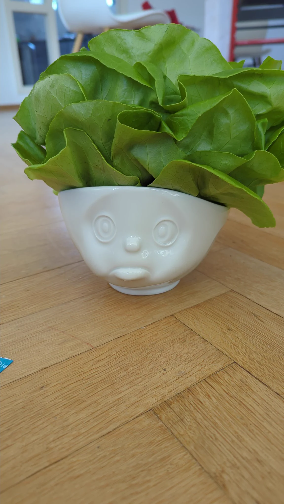 The bowl has a face that looks hilarious because the lettuce looks like crazy hair