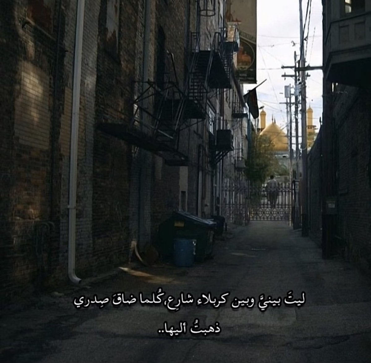" ليتَ بينيَّ وبينَ كربَلاء شارِع ، كُلما ضاقَ صَدري ذهبتُ إليها "