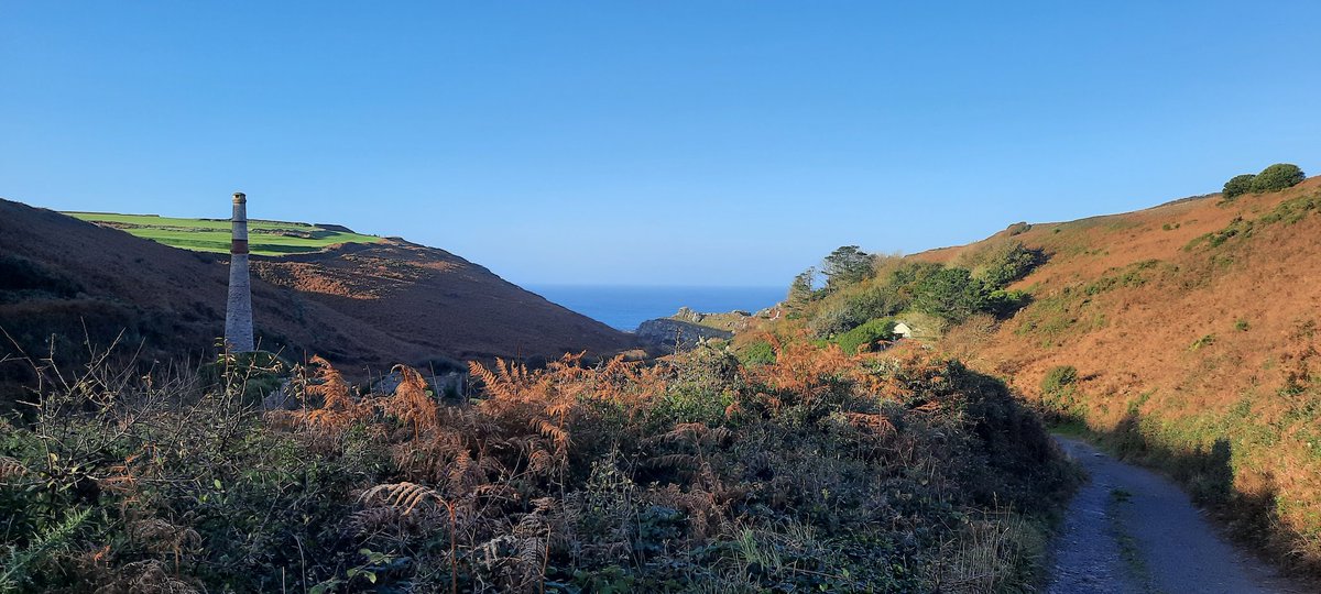 Vismig stole the show at Kenidjack this morning 
0830 to 1030
3109 Redwing, 385 Chaffinch, 21 Starling, 17 Siskin, 5 Linnet, 2 Skylark, 2 Bullfinch.
Also 2 Yellow-browed Warblers, 2 Firecrest, 6 Chiffchaff.
Swallow at Kelynack
Top counting by Pete Wilson
<a href="/CBWPS1/">Cornwall Birds</a> <a href="/BTO_Cornwall/">British Trust for Ornithology in Cornwall 〓〓</a>