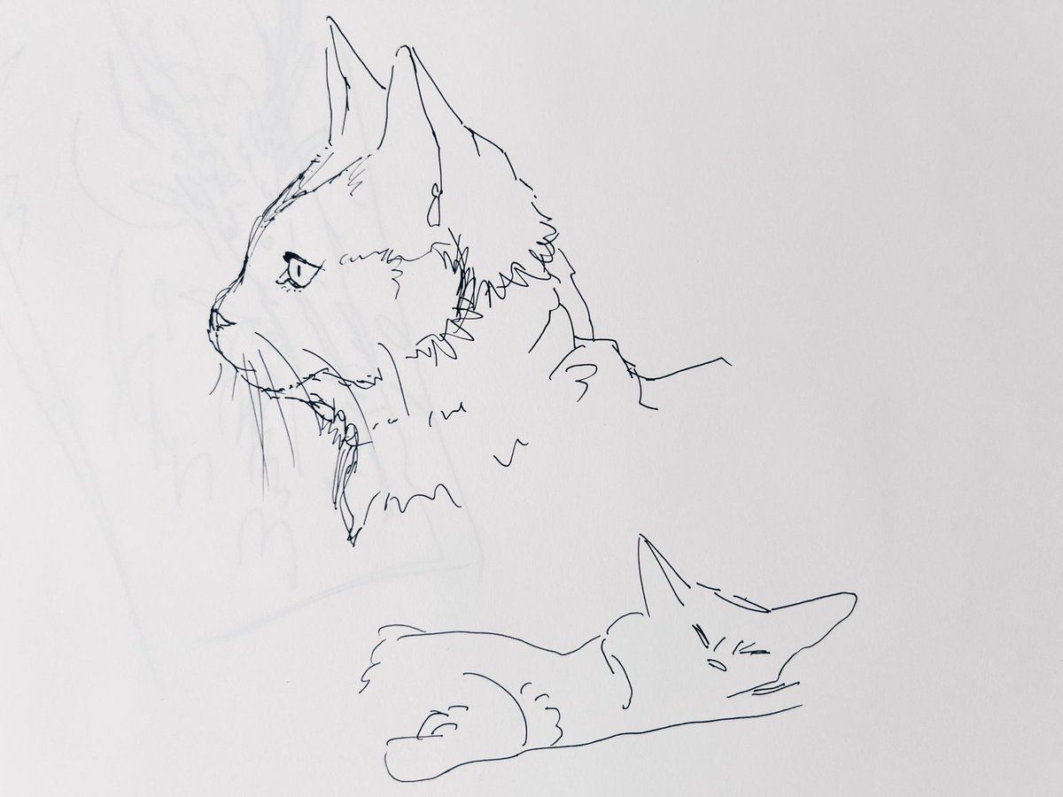 #ザカザカお絵描き 