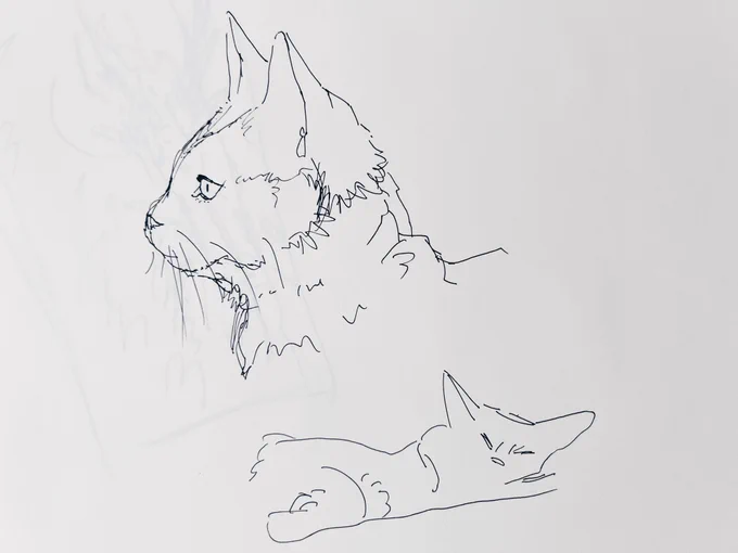 #ザカザカお絵描き 