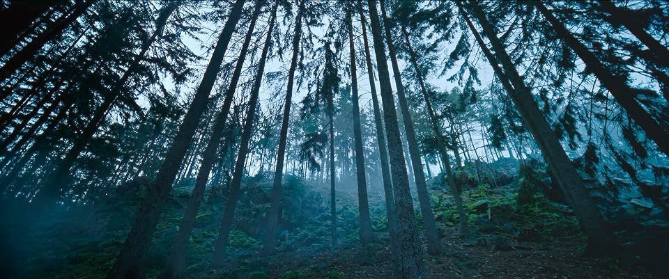 All Quiet on the Western Front (2022)
Dir : Edward Berger