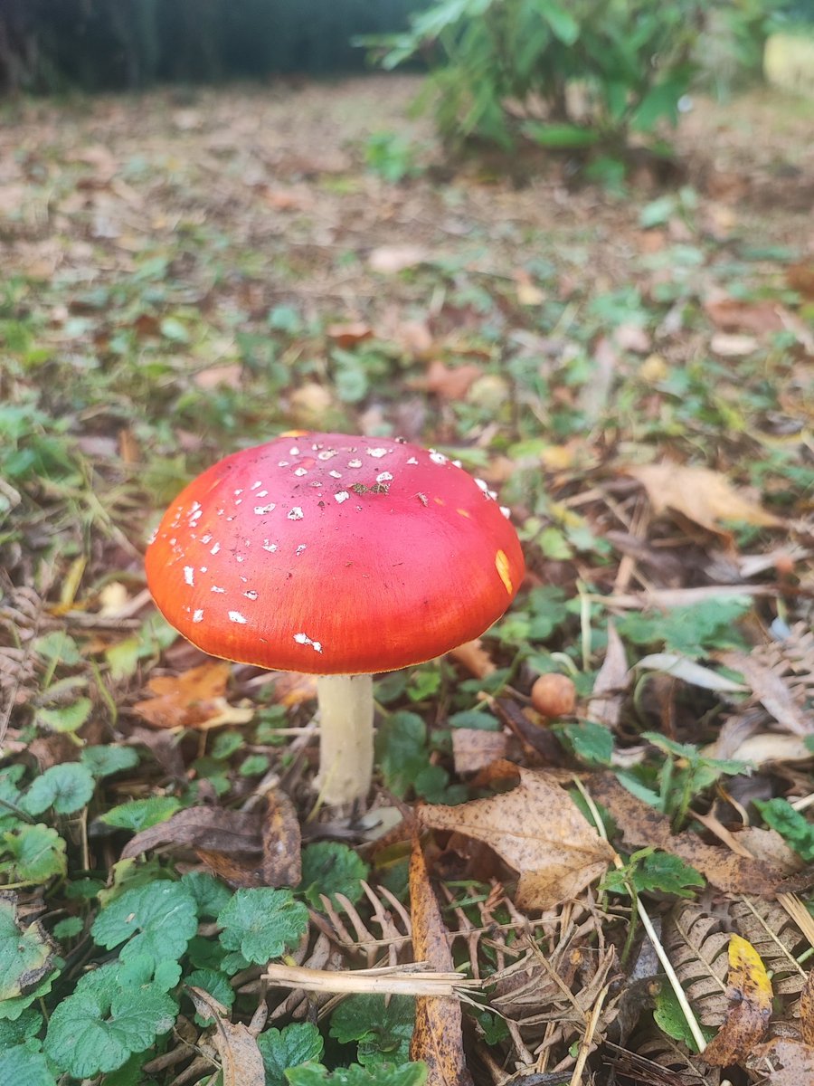 Kenny Higgs tweet media