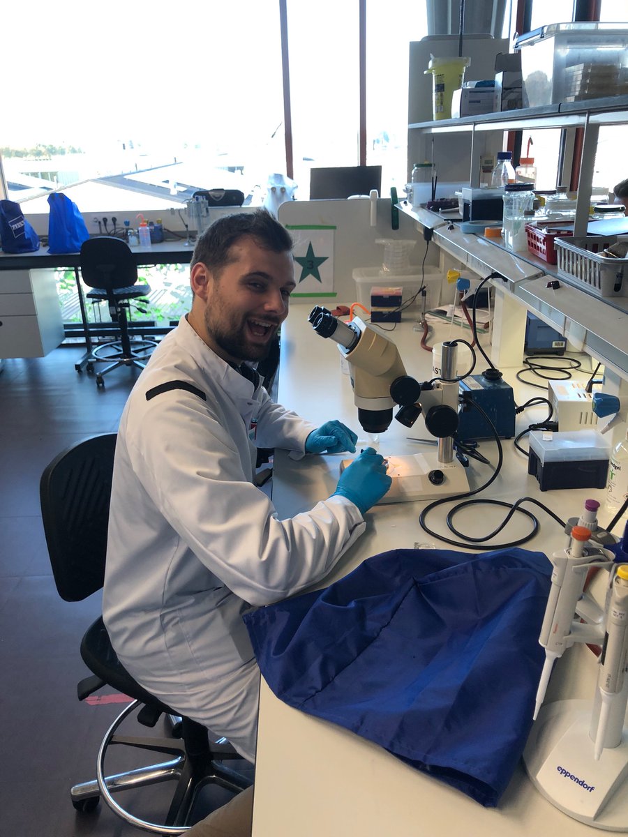 JamesCPearce's tweet photo. Next up a few days going over the finer points of moth rearing and husbandry, injection technique to increase reproducibility, and the internal workings of larvae with the Genetics group at @WUR https://t.co/WNfEkXkoyy