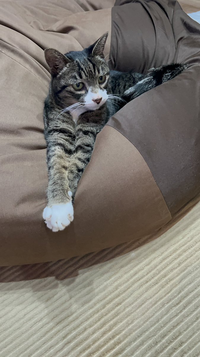 サンタくんが美しすぎる😻😻😻❤️