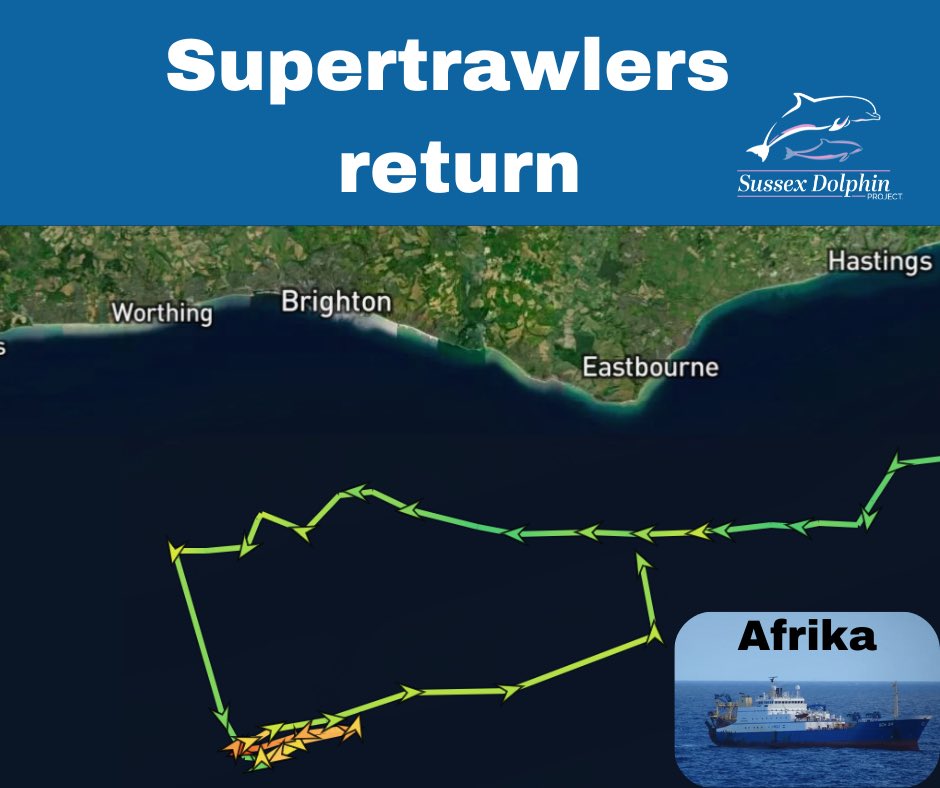 🚨Supertrawlers return to the channel‼️

The Afrika, a 126-metre pelagic freezer trawler, has been tracked off #Sussex over the last 24 hours.

We've also been monitoring the Zeeland and Willem Van Der Zwan, which have passed through the channel.