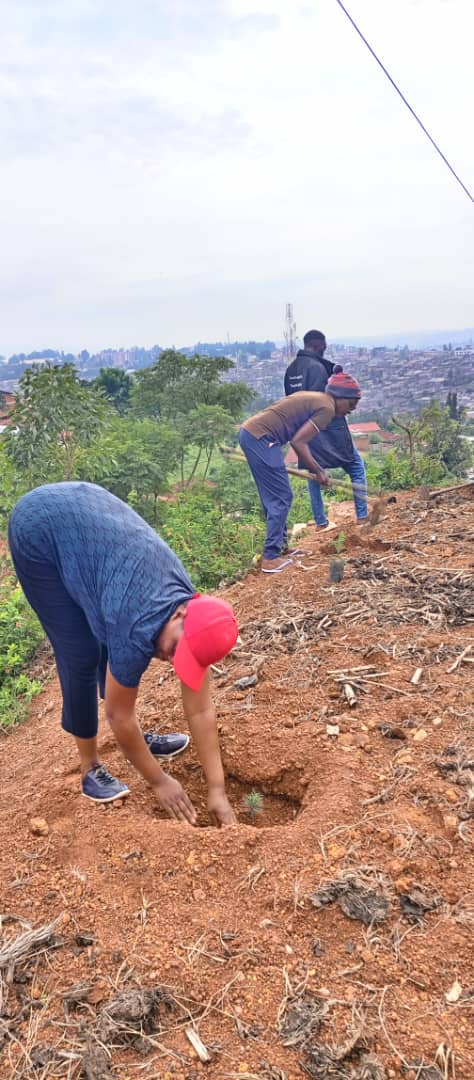 NyakabandaS's tweet photo. #umuganda #IgitiCyanjye Hagamijwe kurengera ibidukikije kuri uyu wa gatandatu mu murenge wacu hatewe ibiti birenga 600 mu tugari tune tugize Umurenge, igikorwa cyasojwe n'inama rusange ikorwa hagamijwe kumenya gahunda za Leta zitandukanye. https://t.co/NdhpWDRXxZ